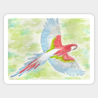 Parrot flight Sticker